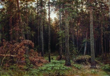 松林 1885 1 古典的な風景 Ivan Ivanovich Oil Paintings